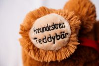 Freundeskreis Teddy_4_klein