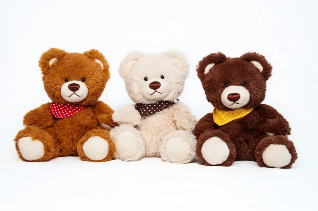 88.508.020 Teddy Levi 88.508.020 Teddy Levi