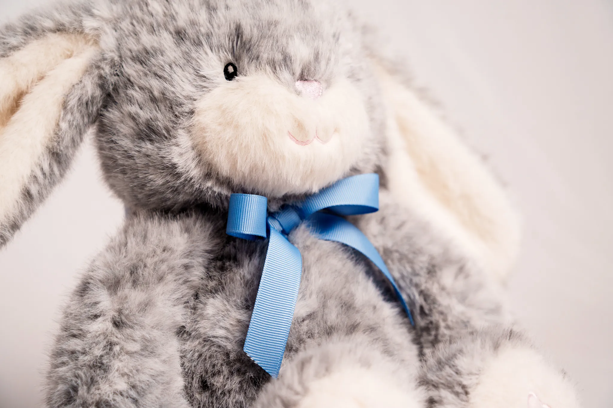 Grey-Bunny